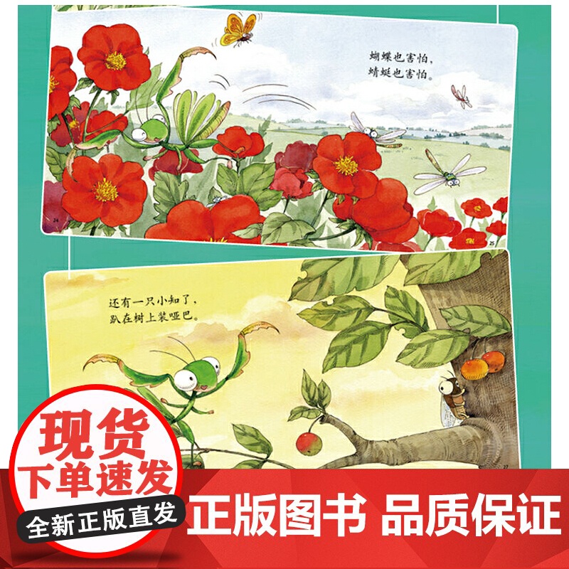 乐悠悠启蒙图画书螳螂小谣曲儿童绘本0-1-2到3岁宝宝早教经典故事书硬壳精装认识螳螂主题昆虫动物蝴蝶知了蜻蜓启蒙认知阅读高清大图