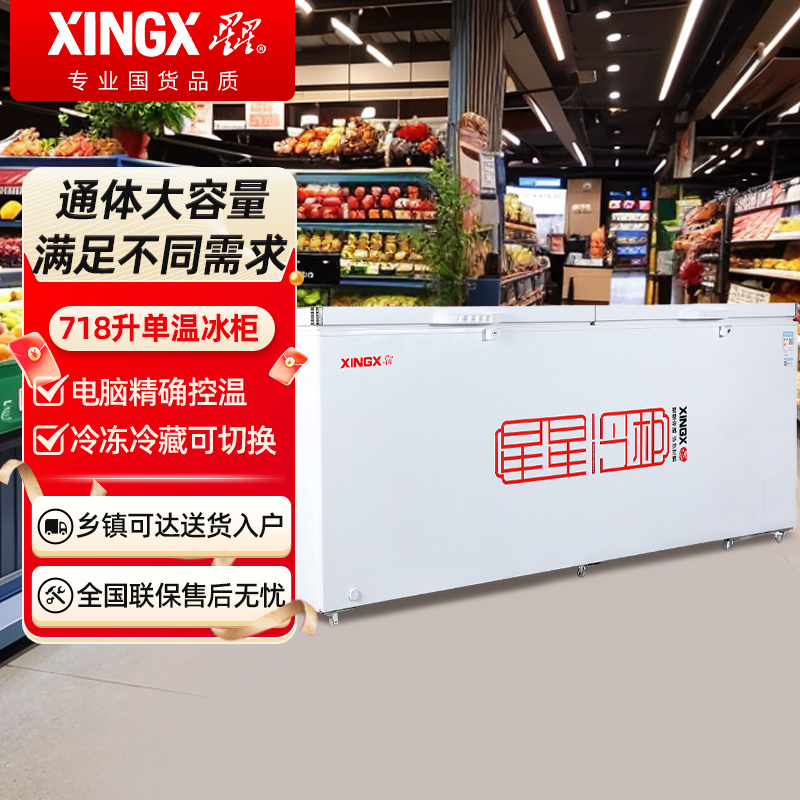 星星(XINGX)BD/BC-718GD冰柜718升商用卧式大冷柜 冷藏冷冻转换商用保鲜设备 雪糕冰冻柜急冻速冻大冰柜高清大图