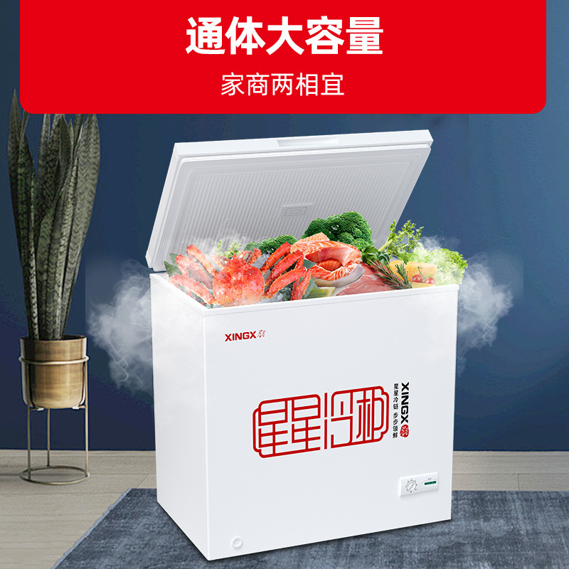 星星(XINGX)BD/BC-219E 219升家用冰柜 冷柜 冷藏冷冻转换单温冰柜 商用顶开门