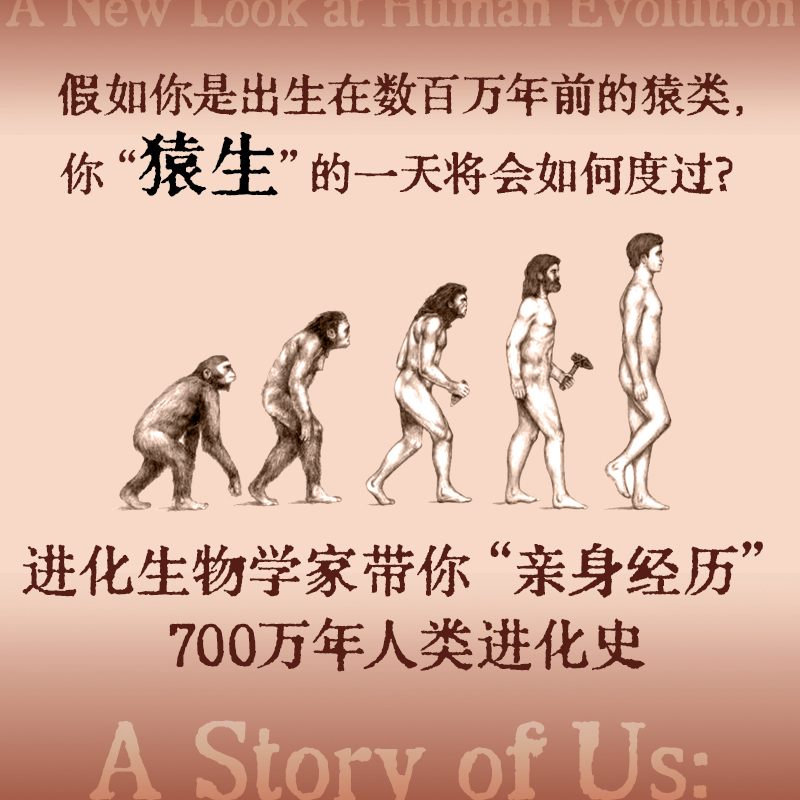 [正版]书籍人类如何走到今天 莱斯利纽森 等著 跳出唯基因遗传学论视角 直击史前人类七个阶段的利益权衡与文化进化高清大图