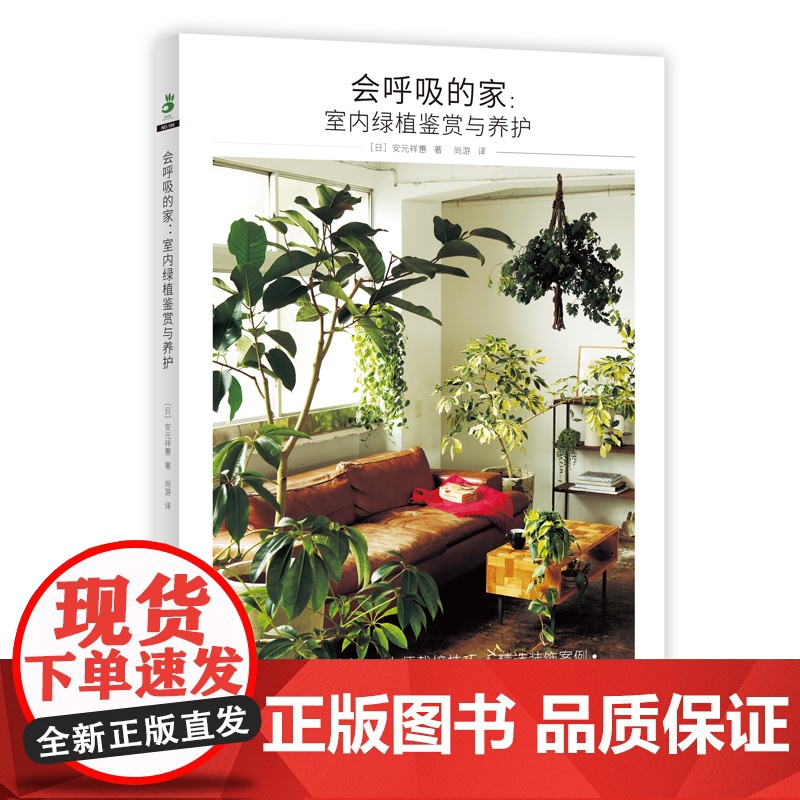 会呼吸的家:室内绿植鉴赏与养护高清大图