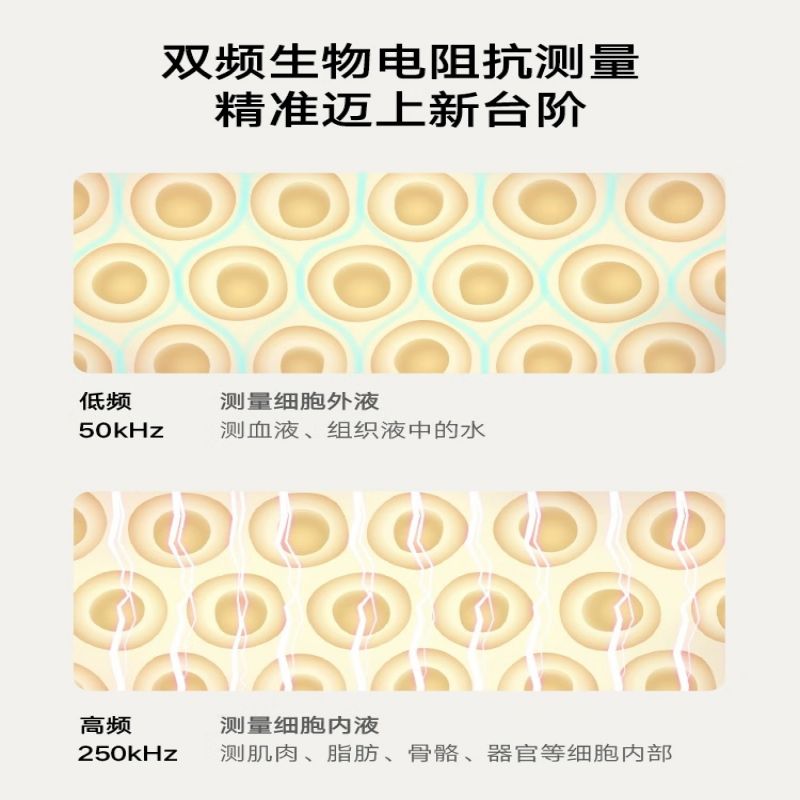 小米(mi)米家小米体脂秤S400智能减肥减脂电子称健康体脂称高清大图