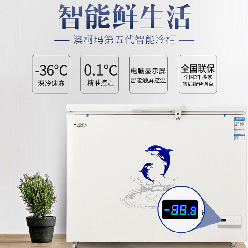 澳柯玛(AUCMA)超低温冰柜商用大容量 冷柜卧式单门家用冷冻柜BC/BD-325ND