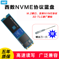 西部数据 WD250G M.2 蓝盘NVME Blue SN550系列250GB M.2接口(NVMe协议)SSD固态硬盘