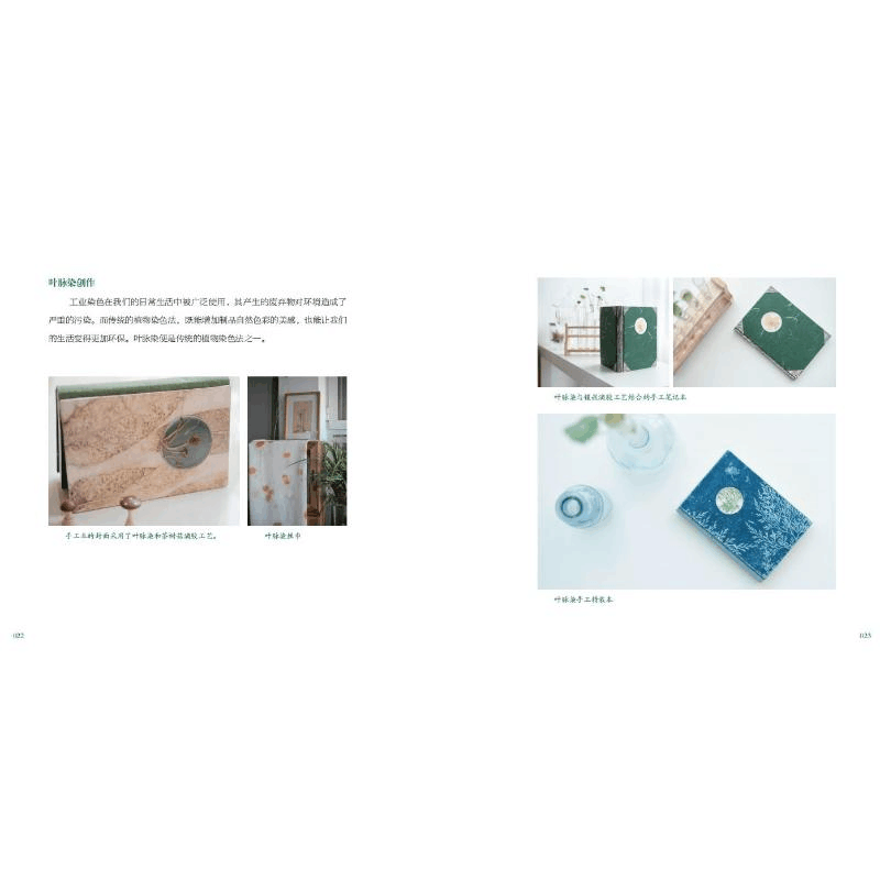 醉染图书植物的记忆9787110103579图片