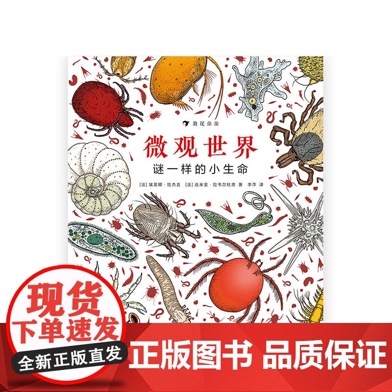 微观世界 谜一样的小生命 3-12岁 儿童科普百科 手绘大场景 科普图画书高清大图