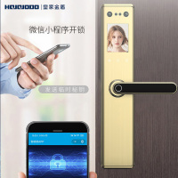 【限量】皇家金盾（HOJOJODO）R50人脸识别 指纹锁 智能锁家用防盗门锁 电子锁密码锁智能门锁智能家居门锁 枪灰色
