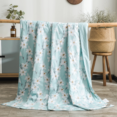 太湖雪简约蚕丝被