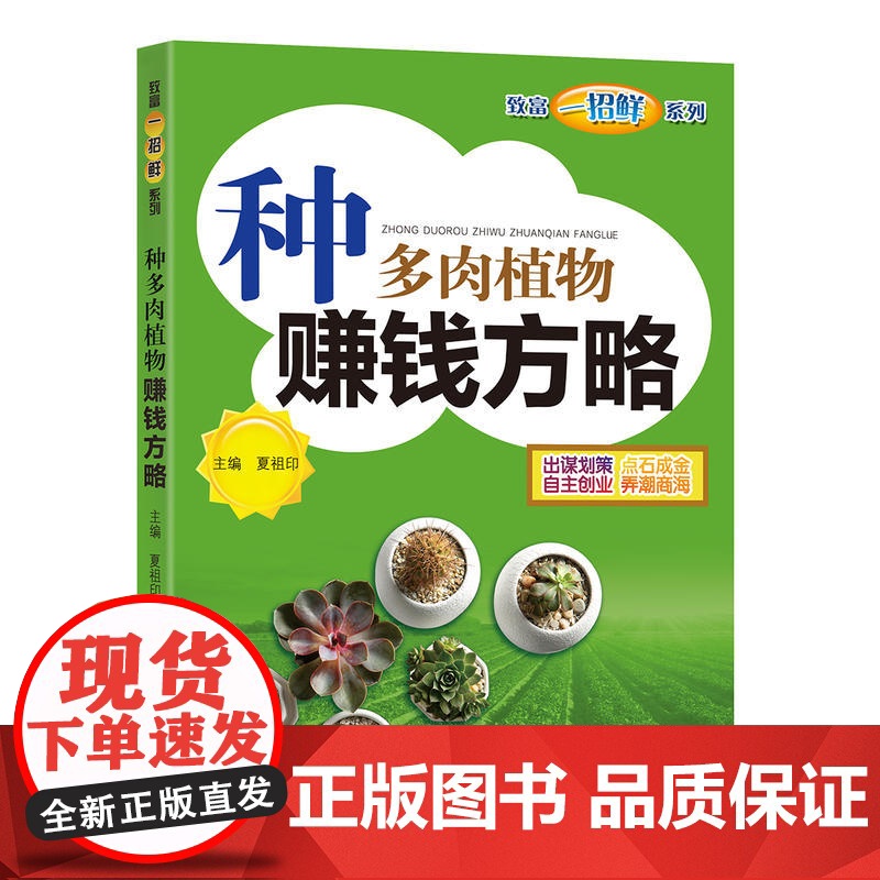 种多肉植物赚钱方略