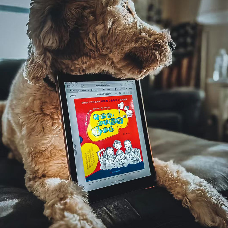 小时候,每天放学跑回家 3本装 [正版]小时候 每天放学跑回家 赵宇 央视少儿节目主持人金龟子倾力 小时候回忆 亲自共读高清大图