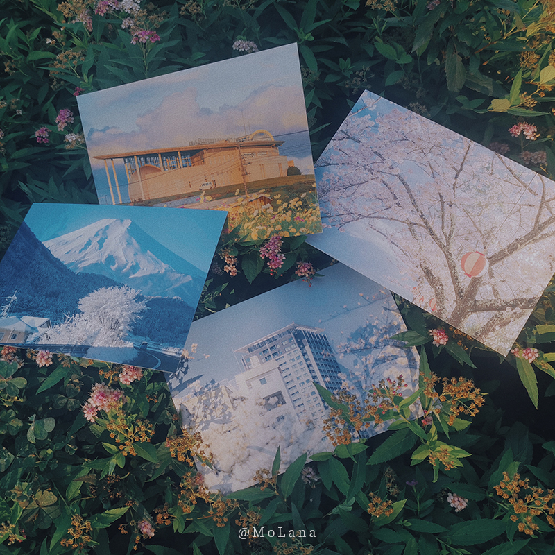 [正版]四季予你 摄影师@MoLana 28张摄影作品 大自然中四季变换春夏秋冬出类艺术明信片创意唯美自然风景文艺小清高清大图