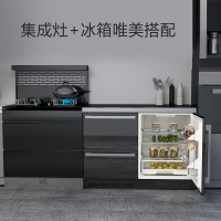 尊贵(ZUNGUI)BCD-198WQB 198升卧式冰箱家用变频风冷无霜小型柜式双门橱柜式电冰箱