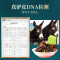 南京同仁堂阿胶糕即食纯手工阿胶固元膏原块官方旗舰店正品礼盒装