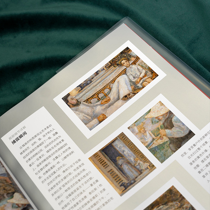 博纳尔:与色彩对话 [正版]博纳尔:与色彩对话纸上美术馆系列 中国国家地理摄影集摄影画册高清大图