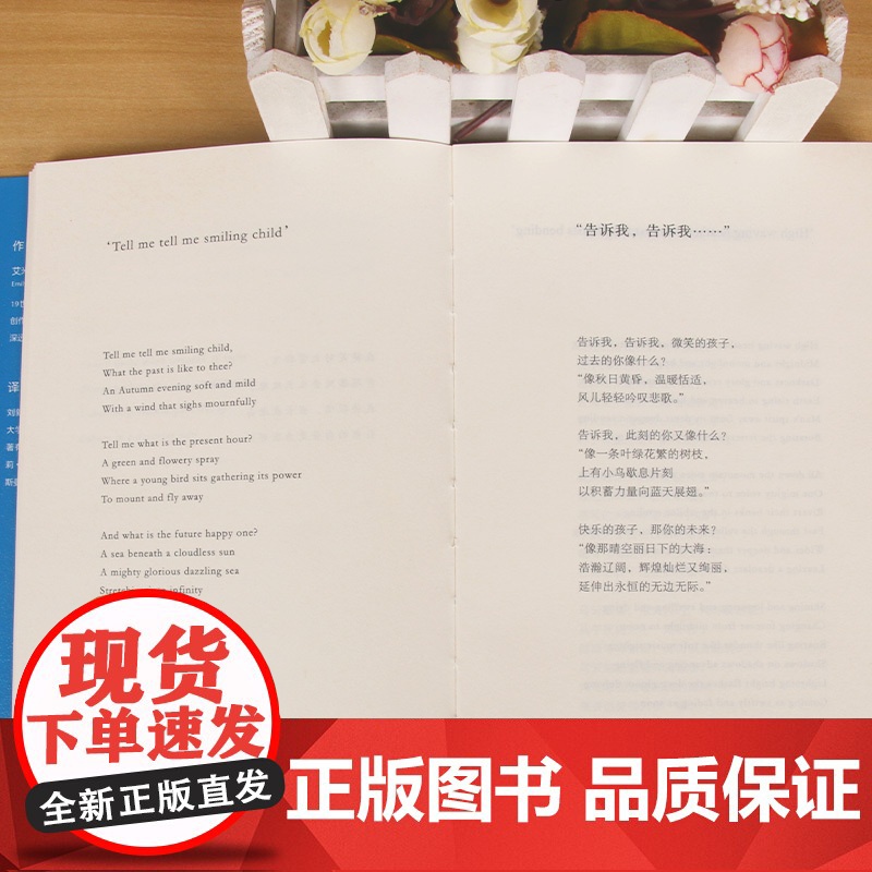 我歌唱夜色将尽(艾米莉·勃朗特抒情诗选)高清大图