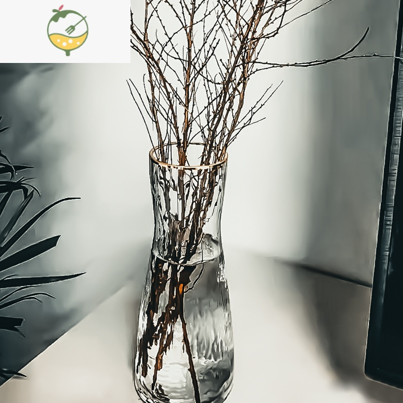 yicheng雪柳玻璃透明养雪柳枝高款插花长枝花瓶