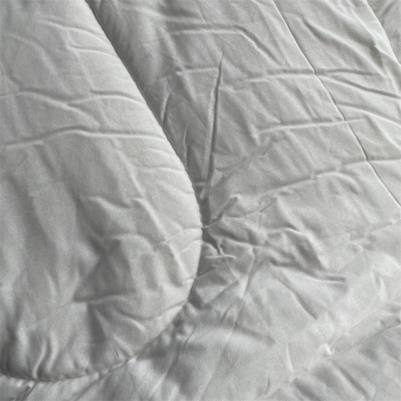 洛菲源 全棉漂白包布棉花褥子棉褥 垫絮 规格120*200/4斤 条高清大图