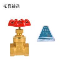 拓品臻选 铜闸阀 6分 个