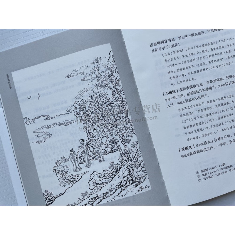 西厢记(插图本) [正版]西厢记插图本 中国古代四大名剧 张生崔莺莺待月西厢记元杂剧王实甫凌濛初西厢记五本解证为底本校注
