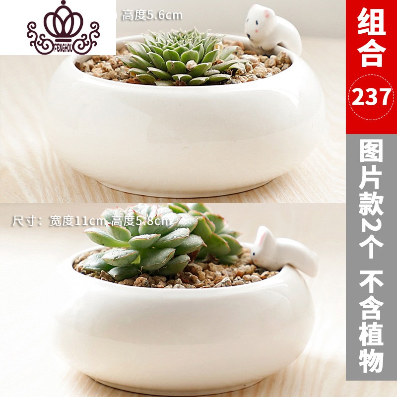 封后多肉花盆卡通陶瓷花盆室内桌面可爱白马长颈鹿动物植物盆栽款式15 中等花盆容器图片 高清实拍大图 苏宁易购