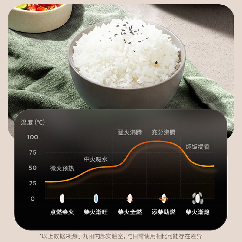 九阳(Joyoung)电饭煲家用电饭锅智能4L大火快煮蒸煮焖炖不粘内胆 F40FZ-F833 铜匠厚釜
