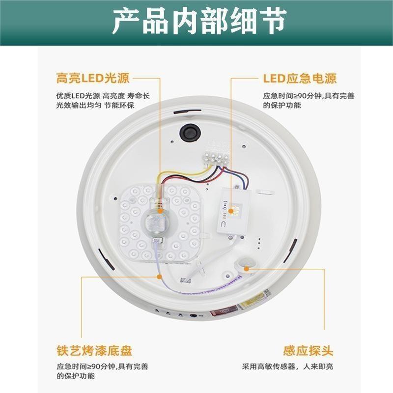 洛安斯 LED应急吸顶灯 12W 个高清大图