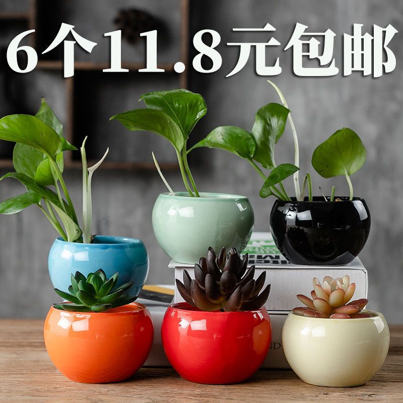 花盆陶瓷肉肉塑料创意室内绿萝多肉植物花盆小大号多肉花盆批发浅蓝彩手绘花盆随机2个中等报价 参数 图片 视频 怎么样 问答 苏宁易购