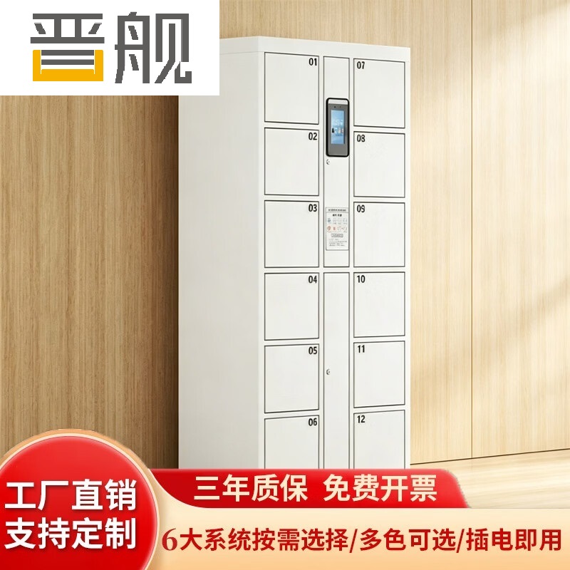 晋舰 智能电子存包柜商场超市物品寄存柜铁皮储物柜 12门人脸识别款