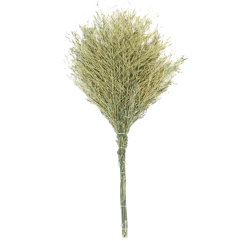 奇桄烁扫把4斤/把高清大图