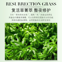 欧佩(OU PEI)复活草 草本精华清透补水柔润保湿光滑滋养睡眠护肤免清洗面膜