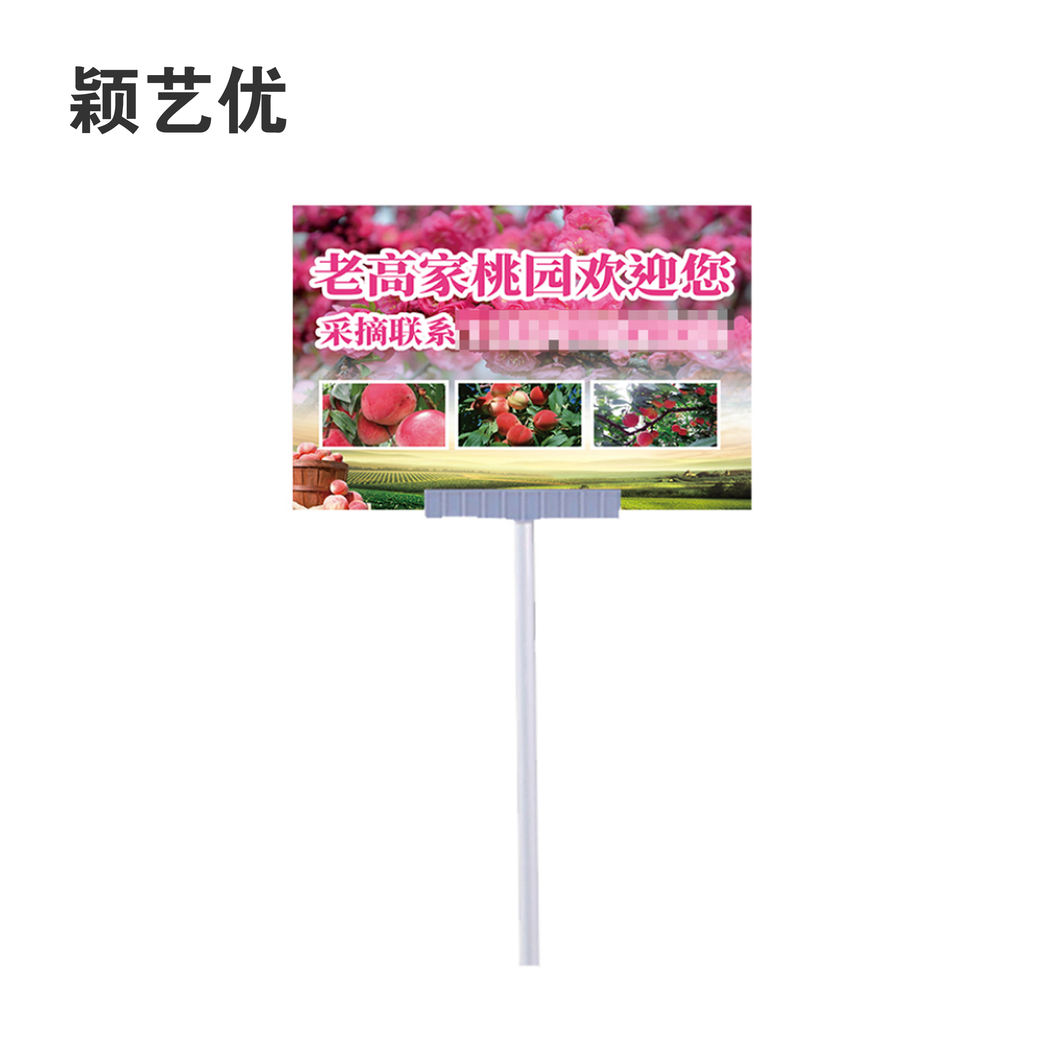颖艺优 手举牌 400X600mm 套高清大图