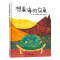 单本全册 [正版]信谊原创系列想看海的乌龟硬壳精装图画书适合2岁以上亲子阅读童书