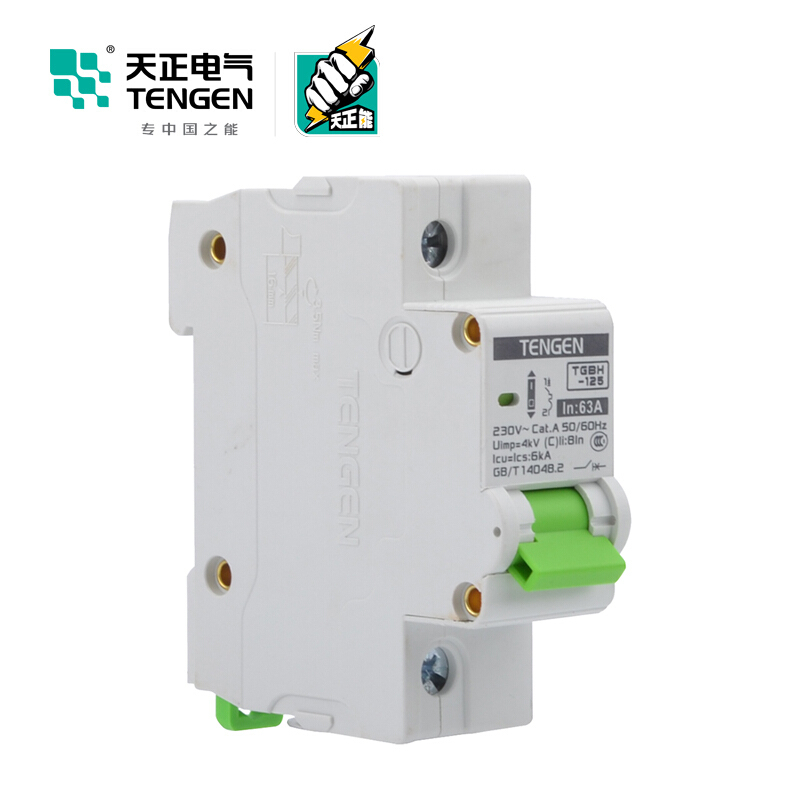 天正电气瑞彩系列TGBH-125 空气开关 6KA 1P C 125A 335013800240 微型断路器