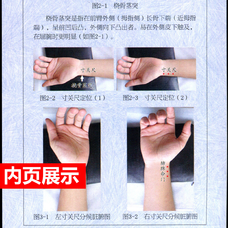 [正版] 濒湖脉学歌诀速记图卡 第二版第2版 中医速记图卡丛书 中医诊脉白话图解 中医诊断学 黄泳 陈俊琦主编 广东科高清大图