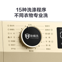小天鹅(LittleSwan) 10公斤 洗烘一体洗衣机 健康除螨洗烘一体智能家电 变频电机 TD100VT096WDG