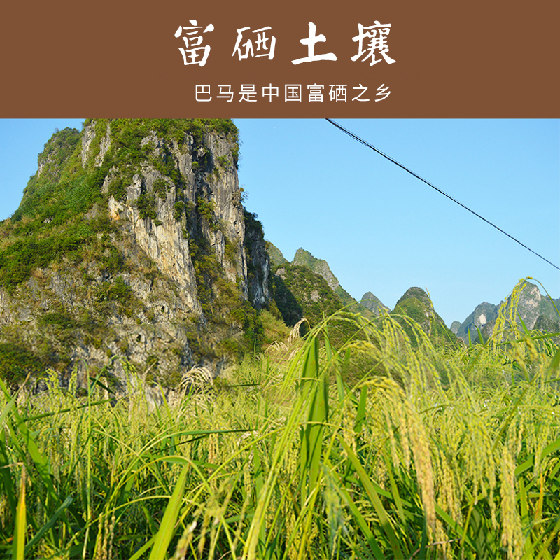 十琅 巴马三色糙米新米饭全胚芽发芽五谷杂粮糙米糊粗粮500g*3