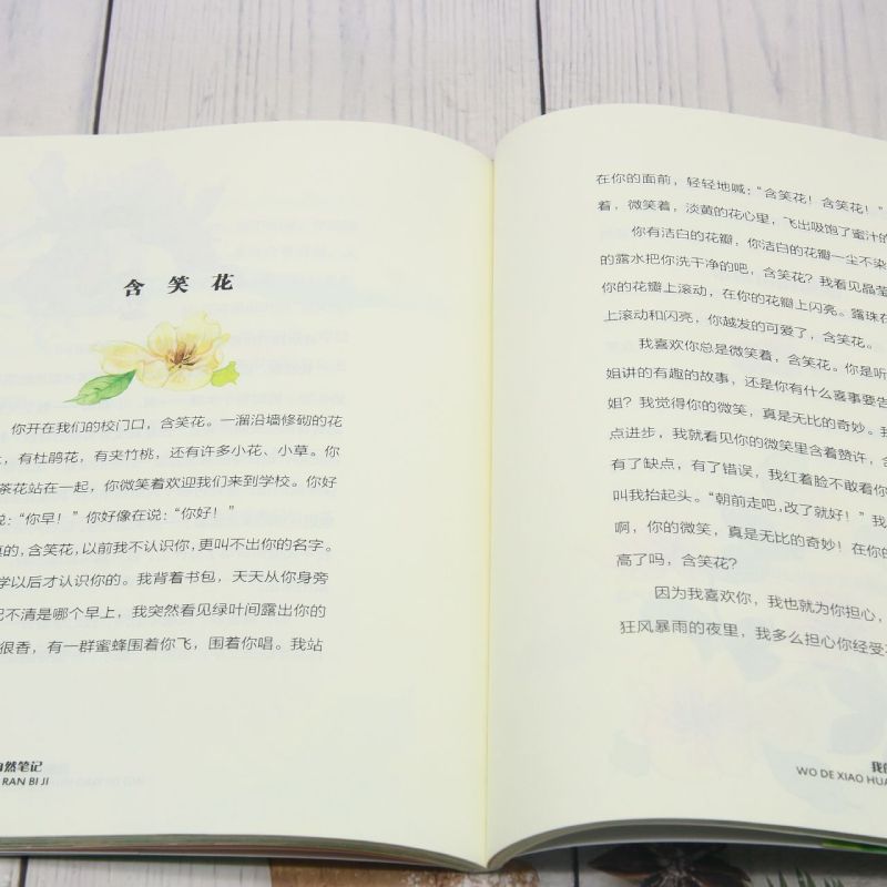 [正版]我的小花朵们高清大图