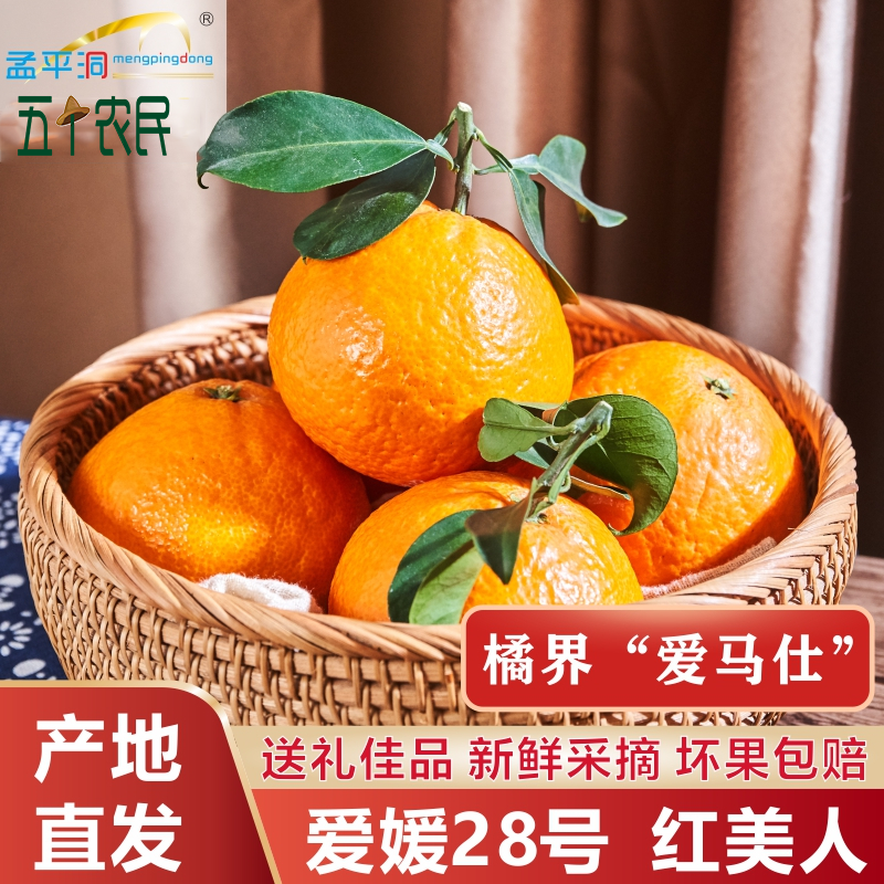 [五个农民]爱媛28号象山红美人柑橘富含维C净重5斤小果礼盒装(约15个) 应季水果 新鲜采摘 产地直发