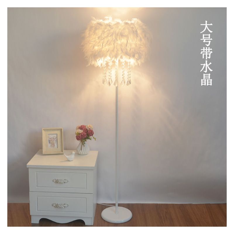 水晶羽毛ins创意落地灯婚庆客厅书房卧室床头台灯美容主播补光灯