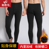红豆旗下相思鸟红豆旗下相思鸟（xiangsiniao）男士冬季保暖加绒针织打底裤秋裤男4K188国民男装相思鸟国民男装