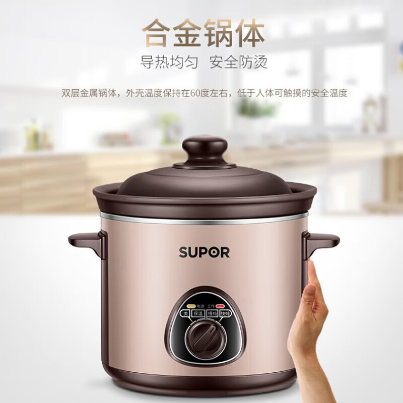 苏泊尔(SUPOR)电炖锅 电炖盅煲汤锅炖汤锅煮粥锅精控快速炽陶电炖锅智能 DG30YK11