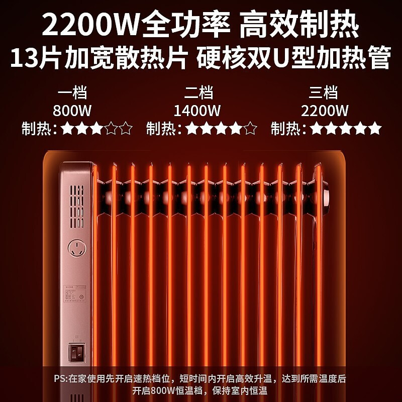 先锋(SINGFUN)取暖器油汀家用节能省电电暖器烤火炉电暖气片13片全屋快速升温电热油汀 DYT-Z10
