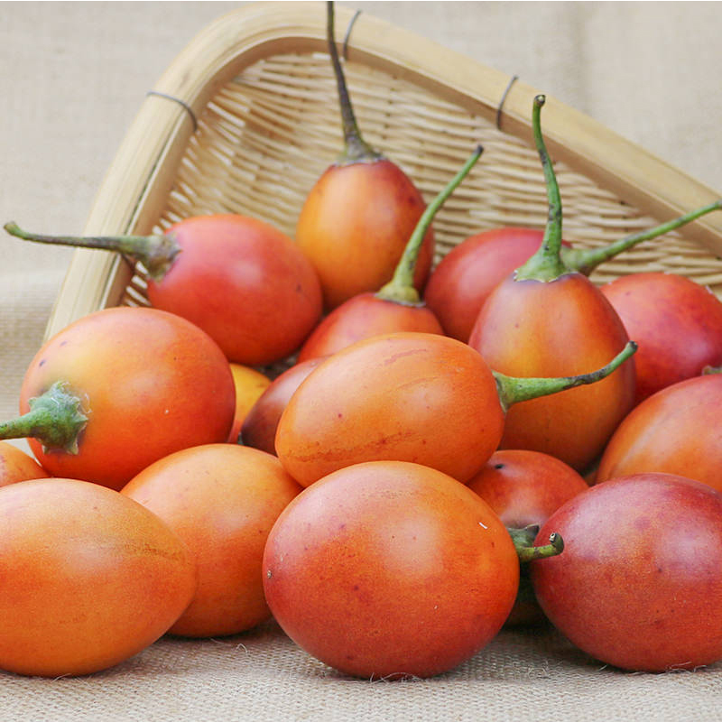 1kg(2斤) 云南特产树番茄 洋酸茄大树番茄洋鸡蛋果缅茄