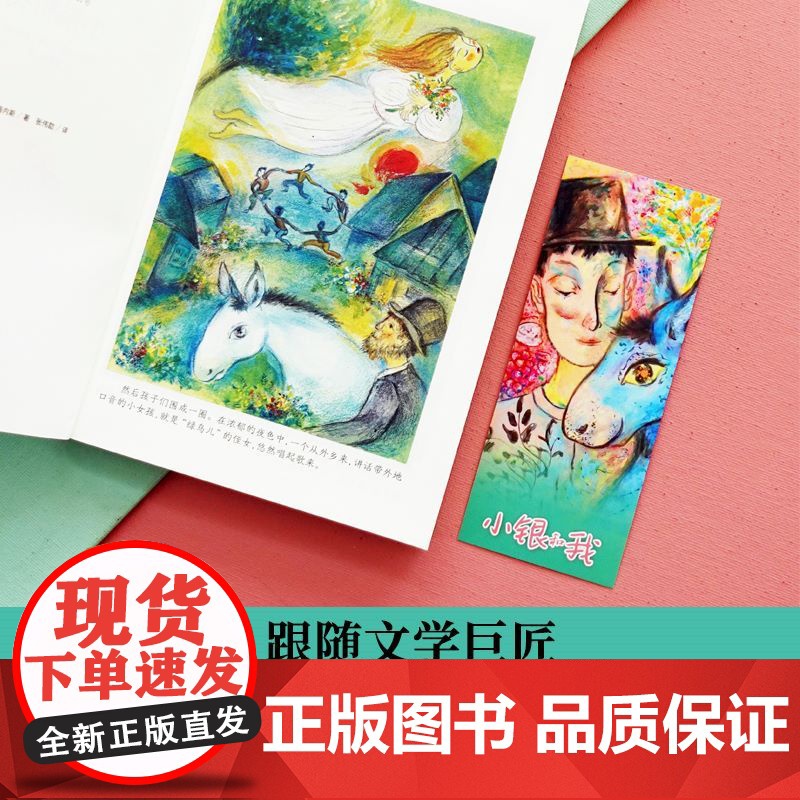 小银和我 小译林国际大奖童书 诺贝尔文学奖得主儿童文学代表作 汇集世界重要奖项童书作品儿童小学生课外寒暑假阅读书籍高清大图