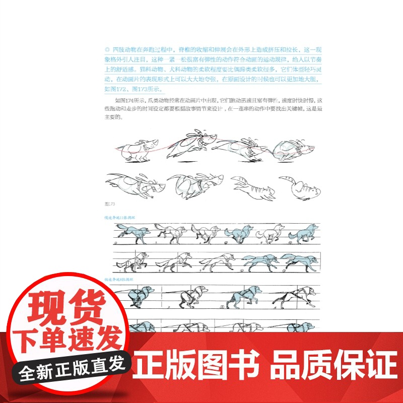 新视域·中国高等院校动画设计专业十三五规划教材--动画设计基础高清大图