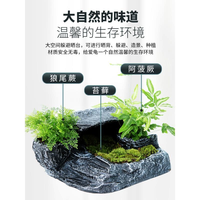 乌龟缸生态缸带晒台别墅植物造景玻璃鱼缸客厅小型家用养龟专用缸图片