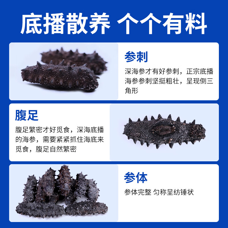 星龙港 大连 淡干海参——禄运恒通90g(16头)高清大图
