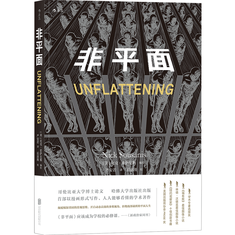 [正版] 非平面 以漫画形式探究人类构建知识体系奥德赛之旅图像小说视觉元素 思维方式认知创新黑白艺术绘画哲学动漫高清大图