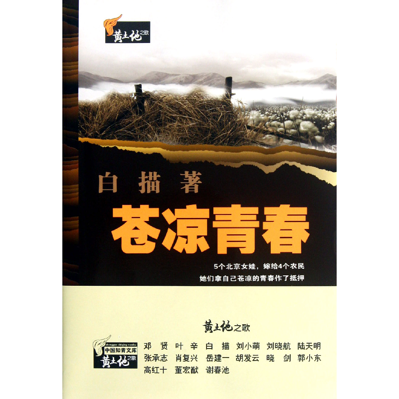 音像苍凉青春/黄土地之歌白描