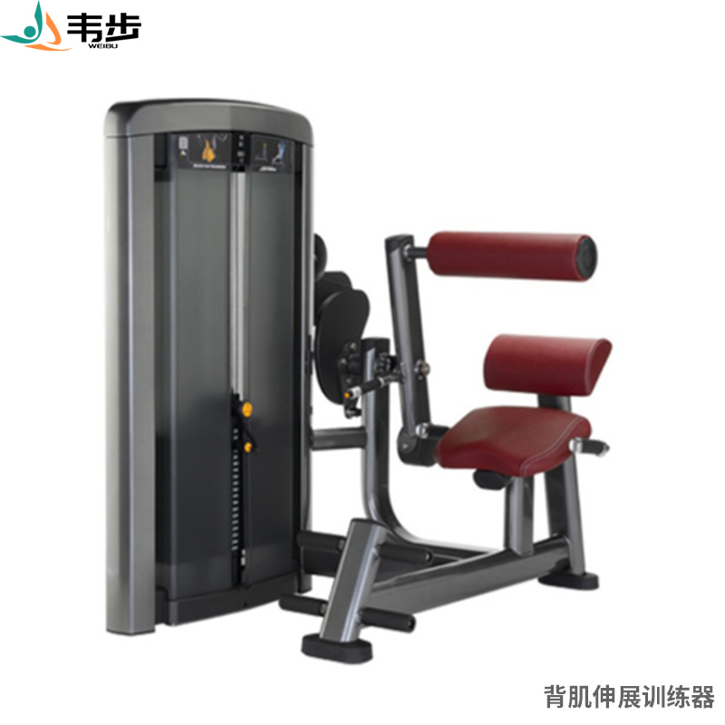韦步LS519商用坐式背部伸展后压背肌练习肌肉专项训练局部型力量器械高清大图